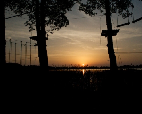 Okuninka 2010_05_17__03